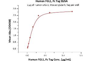 Immobilized Human LAG-3, Mouse IgG2a Fc Tag (ABIN5674633,ABIN6253716) at 10 μg/mL (100 μL/well) can bind Human FGL1, Fc Tag (ABIN6923182,ABIN6938833) with a linear range of 0. (FGL1 Protein (AA 23-312) (Fc Tag))