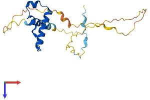 AlphaFold protein structure predicition of Human Recombinant SSX1 Protein, UniprotID Q16384