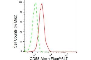 Flow cytometric analysis of CD58 expression in HeLa cells using CD58 antibody (ABIN7797977), 1:2,000). (Recombinant CD58 anticorps)