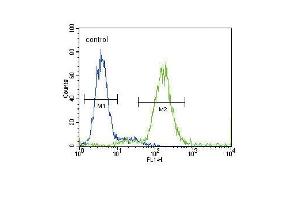 AGTR1 Antibody (Center) (ABIN654078 and ABIN2843971) flow cytometric analysis of HepG2 cells (right histogram) compared to a negative control cell (left histogram).