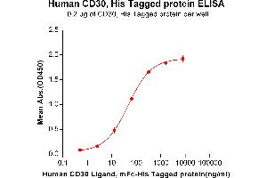 ELISA plate pre-coated by 2 μg/mL (100 μL/well) Human CD30, His tagged protein (ABIN6961166, ABIN7042361 and ABIN7042362) can bind Human CD30 Ligand,mFc-His tagged protein ABIN6961111, ABIN7042251 and ABIN7042252 in a linear range of 2.