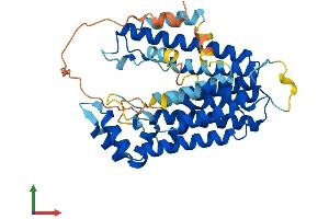 AlphaFold protein structure predicition of Human Recombinant PDSS2 Protein, UniprotID Q86YH6
