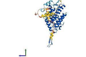 AlphaFold protein structure predicition of Mouse Recombinant Oscp1 Protein, UniprotID Q8BHW2