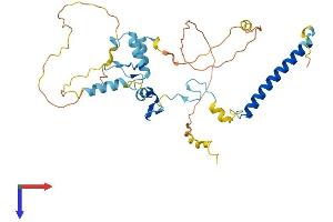 AlphaFold protein structure predicition of Mouse Recombinant Atxn7l3 Protein, UniprotID A2AWT3