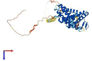 AlphaFold protein structure predicition of Human Recombinant TMEM229A Protein, UniprotID B2RXF0