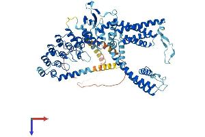 AlphaFold protein structure predicition of Mouse Recombinant Trpv5 Protein, UniprotID P69744