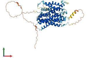 AlphaFold protein structure predicition of Human Recombinant SLC38A2 Protein, UniprotID Q96QD8