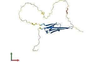 AlphaFold protein structure predicition of Human Recombinant HSPB8 Protein, UniprotID Q9UJY1