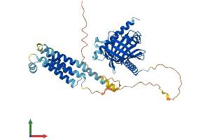AlphaFold protein structure predicition of Human Recombinant STARD3 Protein, UniprotID Q14849