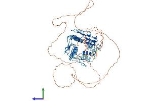 AlphaFold protein structure predicition of Human Recombinant ZNF415 Protein, UniprotID Q09FC8