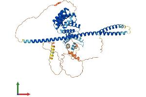 AlphaFold protein structure predicition of Mouse Recombinant Klc2 Protein, UniprotID O88448