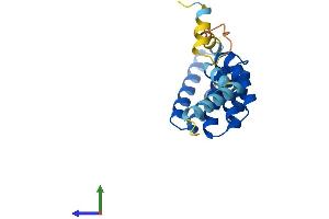 AlphaFold protein structure predicition of Human Recombinant TTC36 Protein, UniprotID A6NLP5
