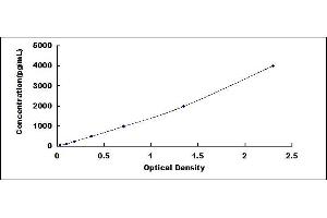 Typical standard curve (Olfactomedin 4 Kit ELISA)