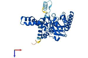 AlphaFold protein structure predicition of Mouse Recombinant Dgat2l6 Protein, UniprotID A2ADU8