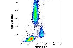 Flow cytometry surface staining pattern of human peripheral whole blood stained using anti-human CD369 (15E2) PE antibody (10 μL reagent / 100 μL of peripheral whole blood).