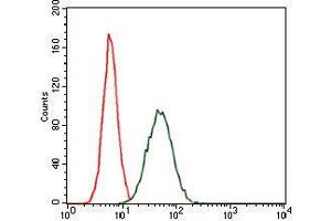 Flow cytometric analysis of MCF-7 cells using CEBPA mouse mAb (green) and negative control (red).