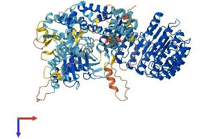 AlphaFold protein structure predicition of Mouse Recombinant Nlrp12 Protein, UniprotID E9Q5R7
