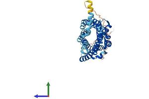 AlphaFold protein structure predicition of Human Recombinant CCR3 Protein, UniprotID P51677