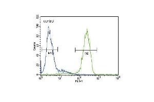 ATP7B Antibody (C-term) (ABIN390398 and ABIN2840790) flow cytometric analysis of HepG2 cells (right histogram) compared to a negative control cell (left histogram).