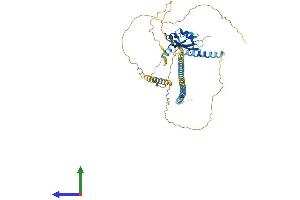 AlphaFold protein structure predicition of Human Recombinant SREK1 Protein, UniprotID Q8WXA9