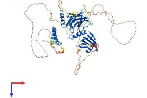 AlphaFold protein structure predicition of Human Recombinant GRHL1 Protein, UniprotID Q9NZI5