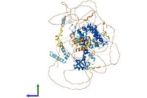 AlphaFold protein structure predicition of Human Recombinant BAG6 Protein, UniprotID P46379