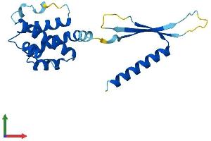 AlphaFold protein structure predicition of Mouse Recombinant Commd3 Protein, UniprotID Q63829