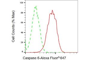 Flow cytometric analysis of Caspase 6 expression in HAP-1 cells using Caspase 6 antibody ( (ABIN7797902), 1:2,000). (Recombinant Caspase 6 anticorps)
