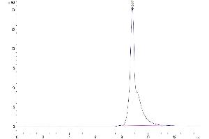 The purity of Mouse B2M is greater than 95 % as determined by SEC-HPLC.