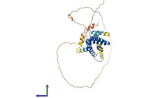 AlphaFold protein structure predicition of Mouse Recombinant Mcl1 Protein, UniprotID P97287