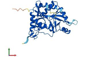 AlphaFold protein structure predicition of Mouse Recombinant Mtap Protein, UniprotID Q9CQ65
