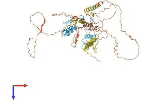 AlphaFold protein structure predicition of Human Recombinant IKZF1 Protein, UniprotID Q13422