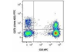 Flow Cytometry (FACS) image for anti-5'-Nucleotidase, Ecto (CD73) (NT5E) antibody (FITC) (ABIN2661419) (CD73 anticorps  (FITC))