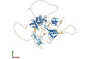 AlphaFold protein structure predicition of Mouse Recombinant Arhgap12 Protein, UniprotID Q8C0D4