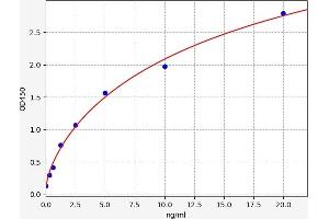 Typical standard curve (UBAP2 Kit ELISA)