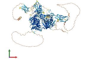 AlphaFold protein structure predicition of Human Recombinant MOV10L1 Protein, UniprotID Q9BXT6