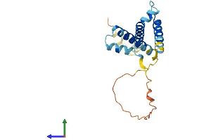 AlphaFold protein structure predicition of Mouse Recombinant Hes5 Protein, UniprotID P70120