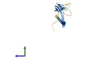 AlphaFold protein structure predicition of Human Recombinant BRMS1L Protein, UniprotID Q5PSV4