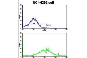 Flow cytometric analysis of NCI-H292 cells using CDH6 Antibody (bottom histogram) compared to a negative control cell (top histogram).