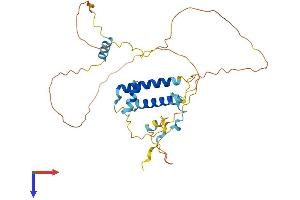 AlphaFold protein structure predicition of Human Recombinant SERTAD2 Protein, UniprotID Q14140