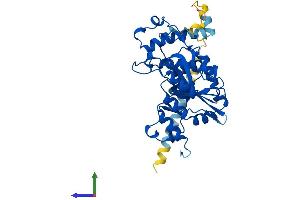 AlphaFold protein structure predicition of Mouse Recombinant B3GNT2 Protein, UniprotID Q9Z222