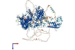 AlphaFold protein structure predicition of Human Recombinant POLA1 Protein, UniprotID P09884