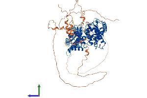 AlphaFold protein structure predicition of Mouse Recombinant Tbc1d25 Protein, UniprotID A1A5B6