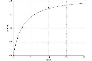 Adaptor-Related Protein Complex 2, beta 1 Subunit (AP2B1) ELISA Kit