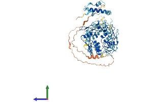 AlphaFold protein structure predicition of Human Recombinant ZNF540 Protein, UniprotID Q8NDQ6