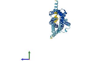 AlphaFold protein structure predicition of Human Recombinant P2RY6 Protein, UniprotID Q15077