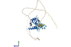 AlphaFold protein structure predicition of Human Recombinant MAGEB6 Protein, UniprotID Q8N7X4
