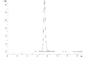 The purity of Mouse CD48/SLAMF2 is greater than 95 % as determined by SEC-HPLC.