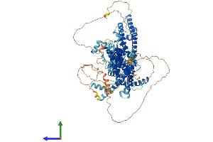 AlphaFold protein structure predicition of Mouse Recombinant Trpc4 Protein, UniprotID Q9QUQ5