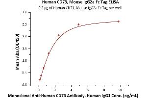 Immobilized Human CD73, Mouse IgG2a Fc Tag (ABIN6973021) at 2 μg/mL (100 μL/well) can bind Monoclonal A CD73 Antibody, Human IgG1 with a linear range of 0. (CD73 Protein (AA 27-549) (mFc Tag))
